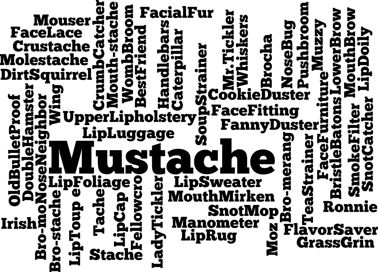 搜索引擎算法优化实践：掌握高效词相似性匹配技巧
