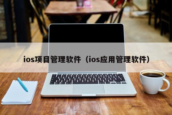 ios项目管理软件（ios应用管理软件）