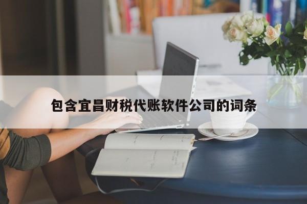 包含宜昌财税代账软件公司的词条