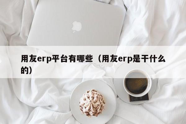 用友erp平台有哪些（用友erp是干什么的）