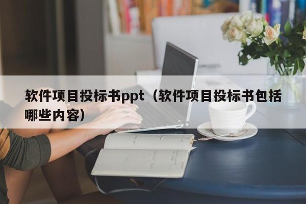 软件项目投标书ppt（软件项目投标书包括哪些内容）