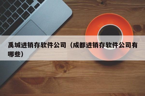 禹城进销存软件公司（成都进销存软件公司有哪些）