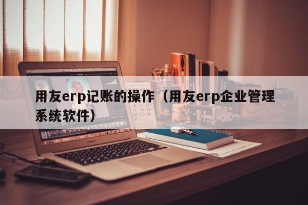 用友erp记账的操作（用友erp企业管理系统软件）