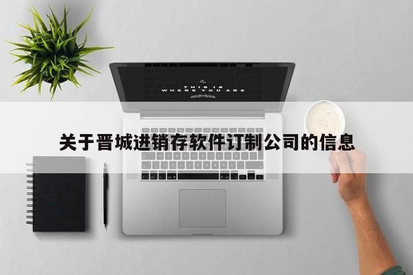 关于晋城进销存软件订制公司的信息