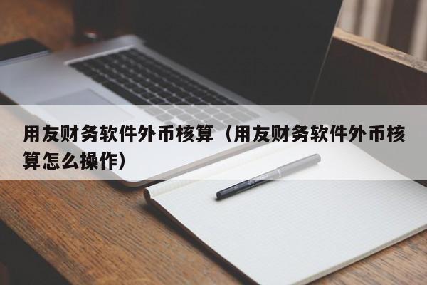 用友财务软件外币核算（用友财务软件外币核算怎么操作）