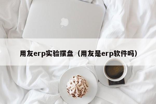 用友erp实验摆盘（用友是erp软件吗）