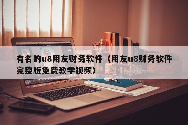 有名的u8用友财务软件（用友u8财务软件完整版免费教学视频）