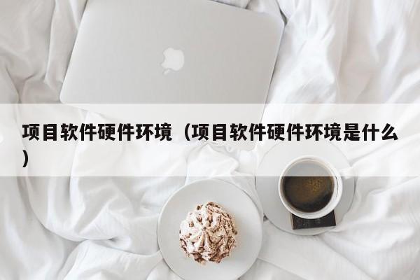 项目软件硬件环境（项目软件硬件环境是什么）