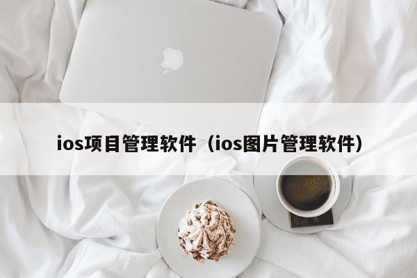 ios项目管理软件（ios图片管理软件）