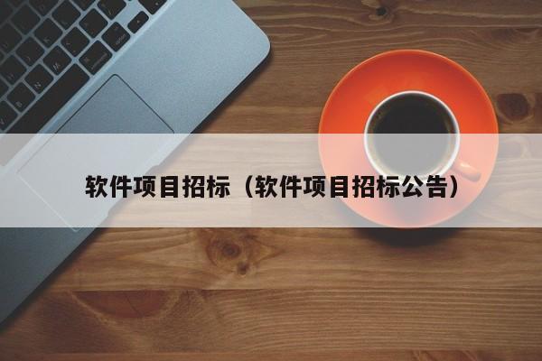 软件项目招标（软件项目招标公告）