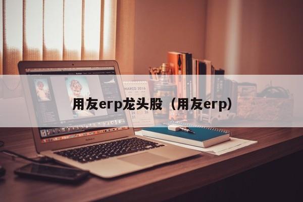 用友erp龙头股（用友erp）