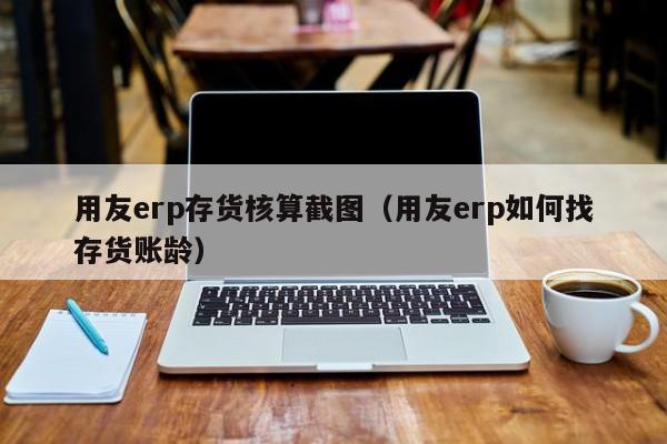 用友erp存货核算截图（用友erp如何找存货账龄）