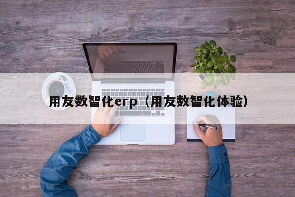 用友数智化erp（用友数智化体验）