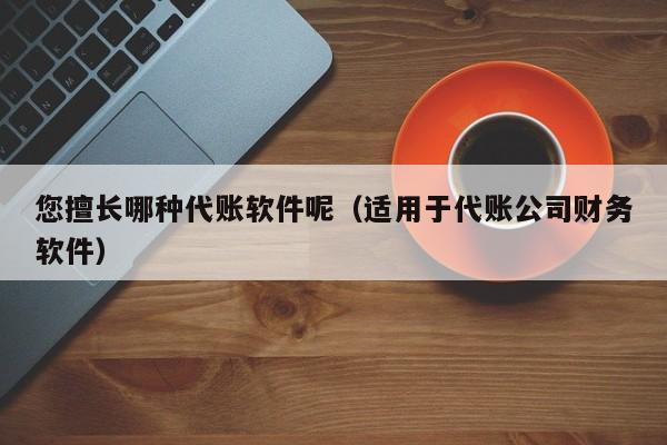 您擅长哪种代账软件呢（适用于代账公司财务软件）