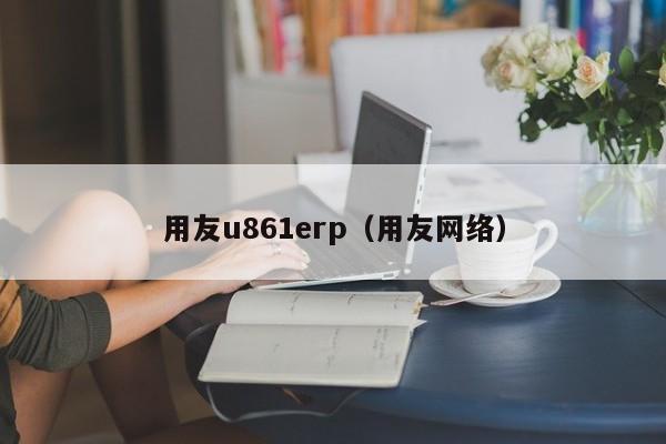 用友u861erp（用友网络）