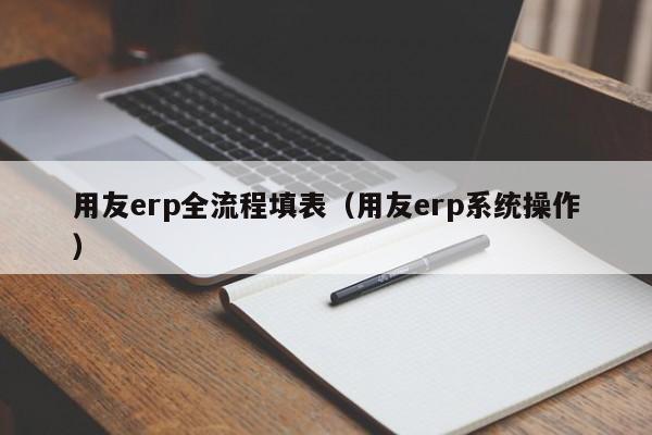 用友erp全流程填表（用友erp系统操作）