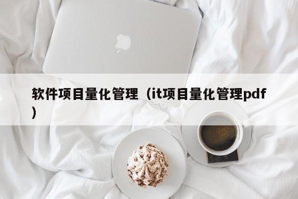 软件项目量化管理（it项目量化管理pdf）