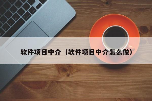 软件项目中介（软件项目中介怎么做）