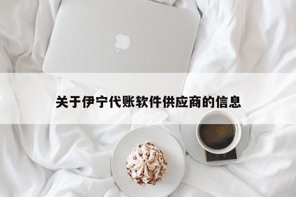 关于伊宁代账软件供应商的信息