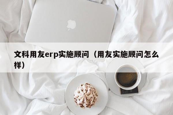 文科用友erp实施顾问（用友实施顾问怎么样）