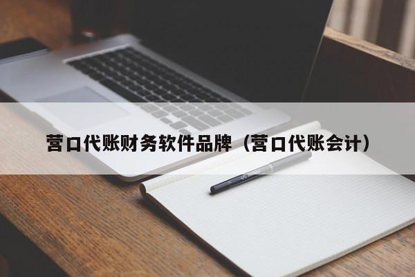 营口代账财务软件品牌（营口代账会计）