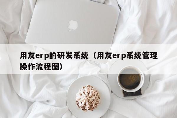 用友erp的研发系统（用友erp系统管理操作流程图）