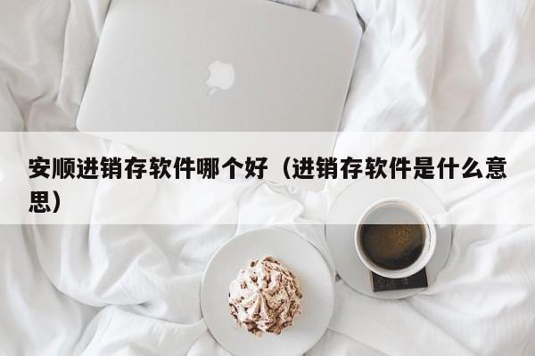 安顺进销存软件哪个好（进销存软件是什么意思）