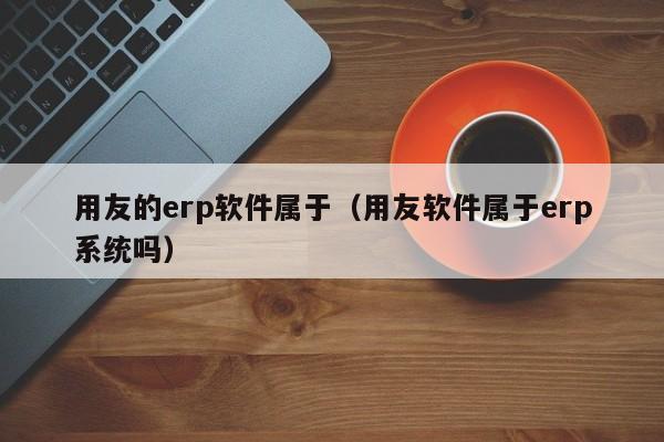 用友的erp软件属于（用友软件属于erp系统吗）