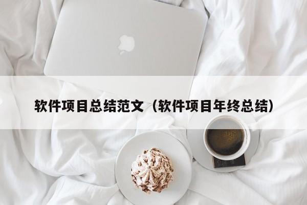 软件项目总结范文（软件项目年终总结）