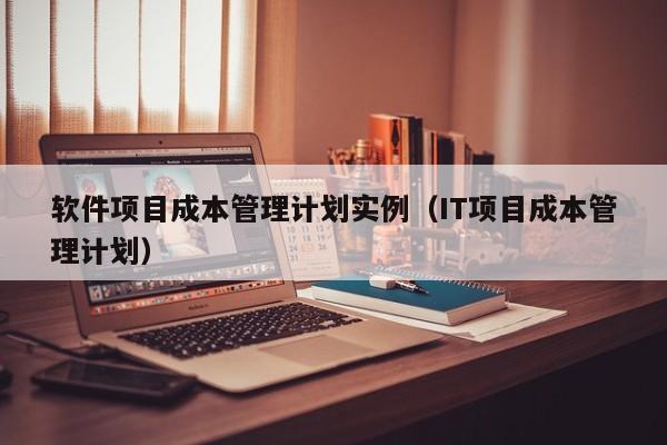 软件项目成本管理计划实例（IT项目成本管理计划）