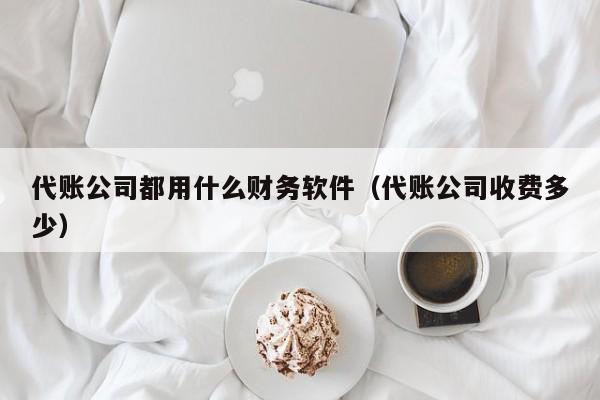 代账公司都用什么财务软件（代账公司收费多少）