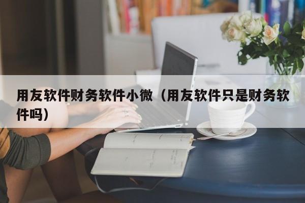 用友软件财务软件小微（用友软件只是财务软件吗）