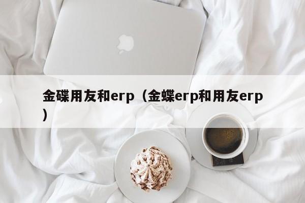 金碟用友和erp（金蝶erp和用友erp）