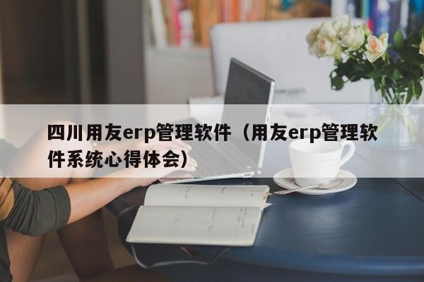 四川用友erp管理软件（用友erp管理软件系统心得体会）