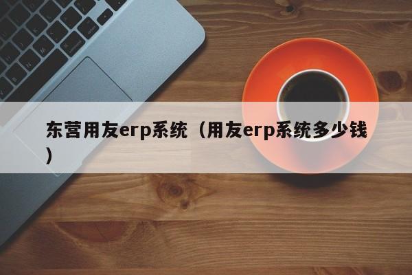 东营用友erp系统（用友erp系统多少钱）