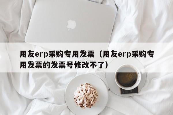 用友erp采购专用发票（用友erp采购专用发票的发票号修改不了）