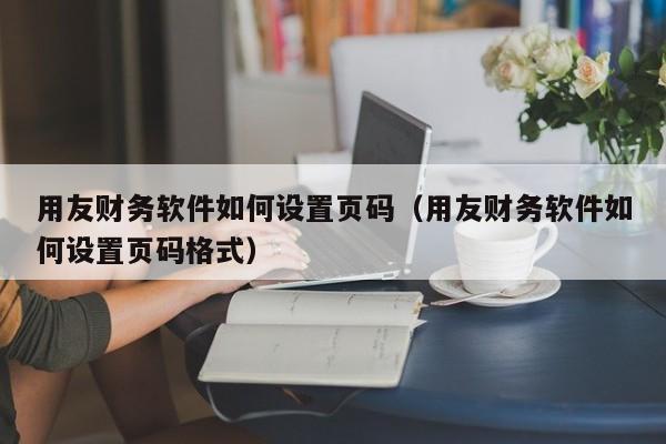 用友财务软件如何设置页码（用友财务软件如何设置页码格式）