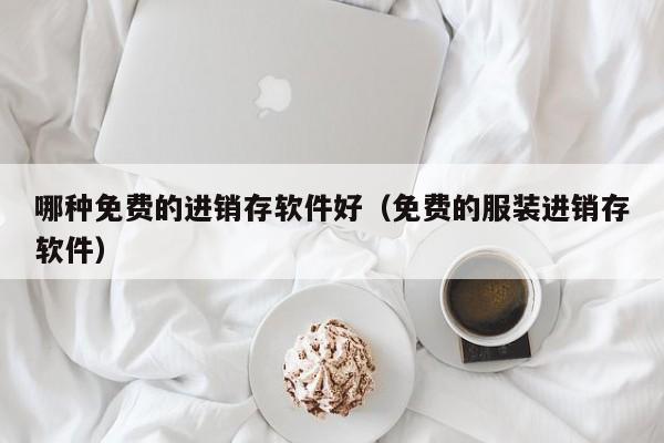 哪种免费的进销存软件好（免费的服装进销存软件）