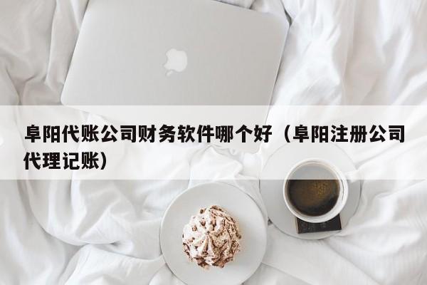 阜阳代账公司财务软件哪个好（阜阳注册公司代理记账）