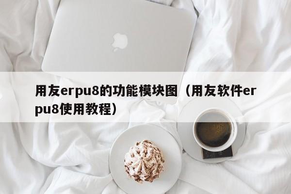 用友erpu8的功能模块图（用友软件erpu8使用教程）