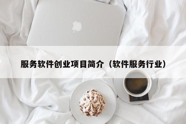 服务软件创业项目简介（软件服务行业）