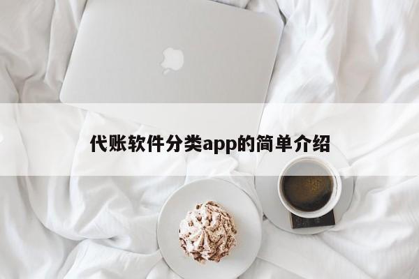 代账软件分类app的简单介绍