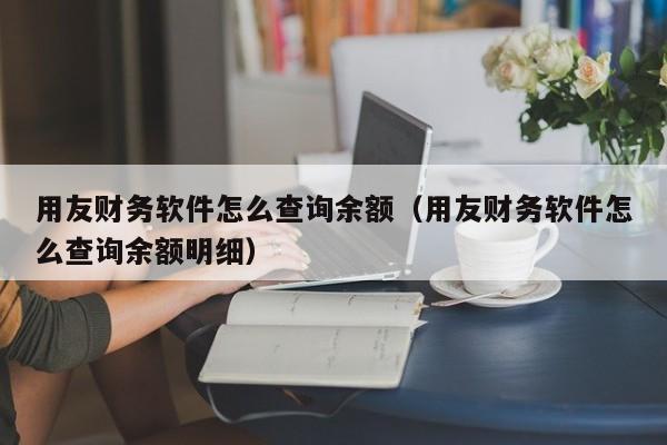 用友财务软件怎么查询余额（用友财务软件怎么查询余额明细）