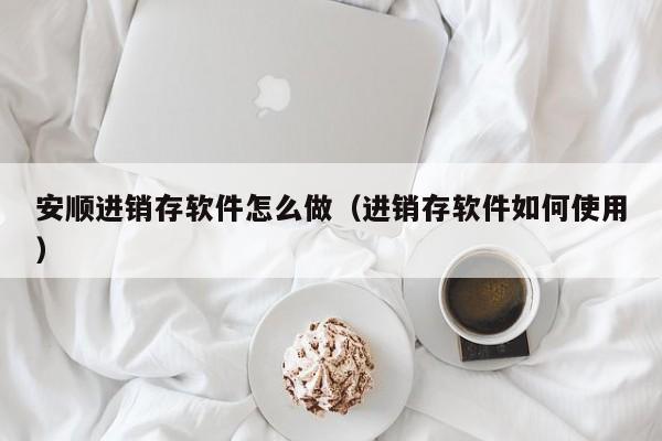 安顺进销存软件怎么做（进销存软件如何使用）