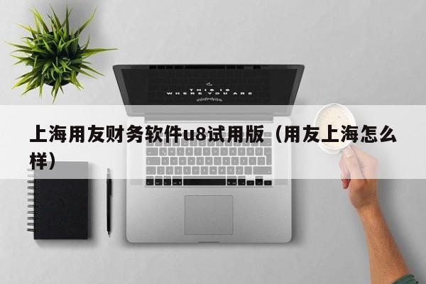 上海用友财务软件u8试用版（用友上海怎么样）