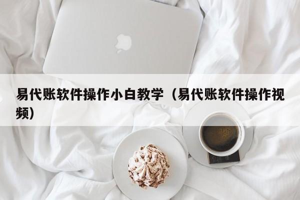 易代账软件操作小白教学（易代账软件操作视频）