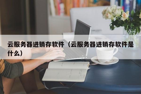 云服务器进销存软件（云服务器进销存软件是什么）