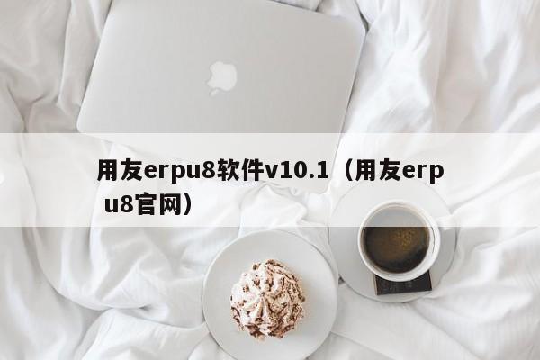 用友erpu8软件v10.1（用友erp u8官网）