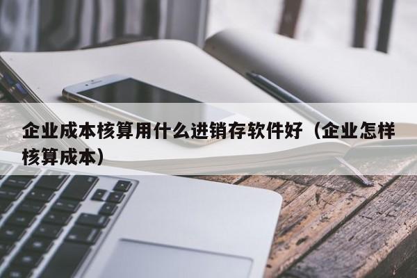 企业成本核算用什么进销存软件好（企业怎样核算成本）