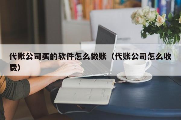 代账公司买的软件怎么做账（代账公司怎么收费）